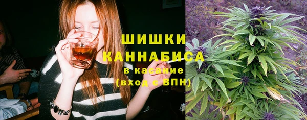 spice Алексеевка