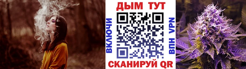 Канабис сатива  купить наркотик  кракен как войти  Хадыженск 